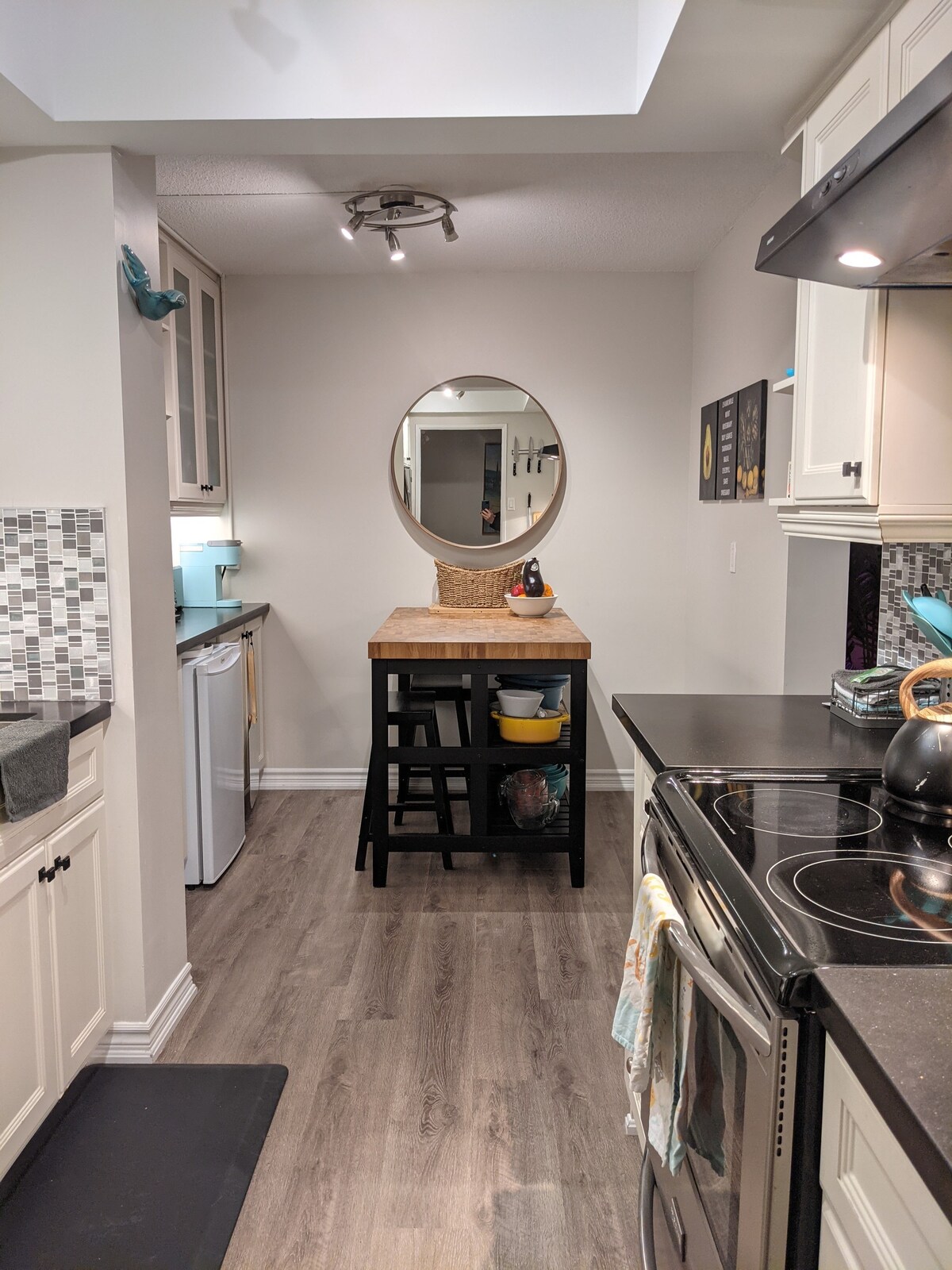 1 BR min 6 mo stay. Large condo.