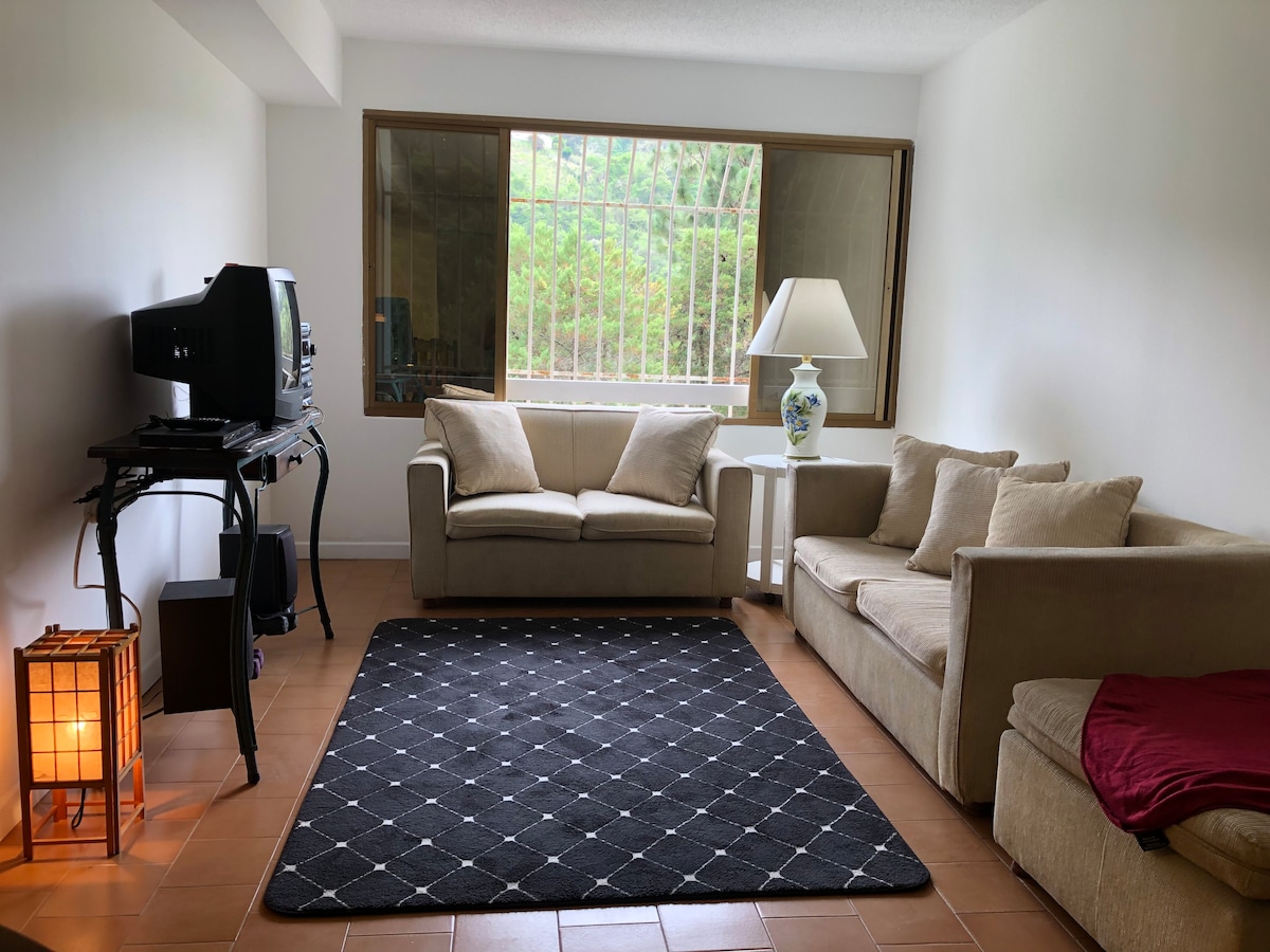 Apartamento en Manzanares, cómodo y familiar