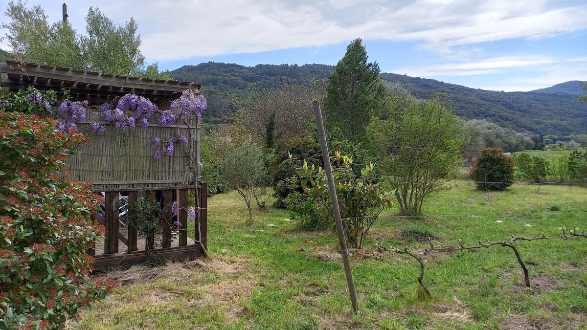 La cabane de mon jardin