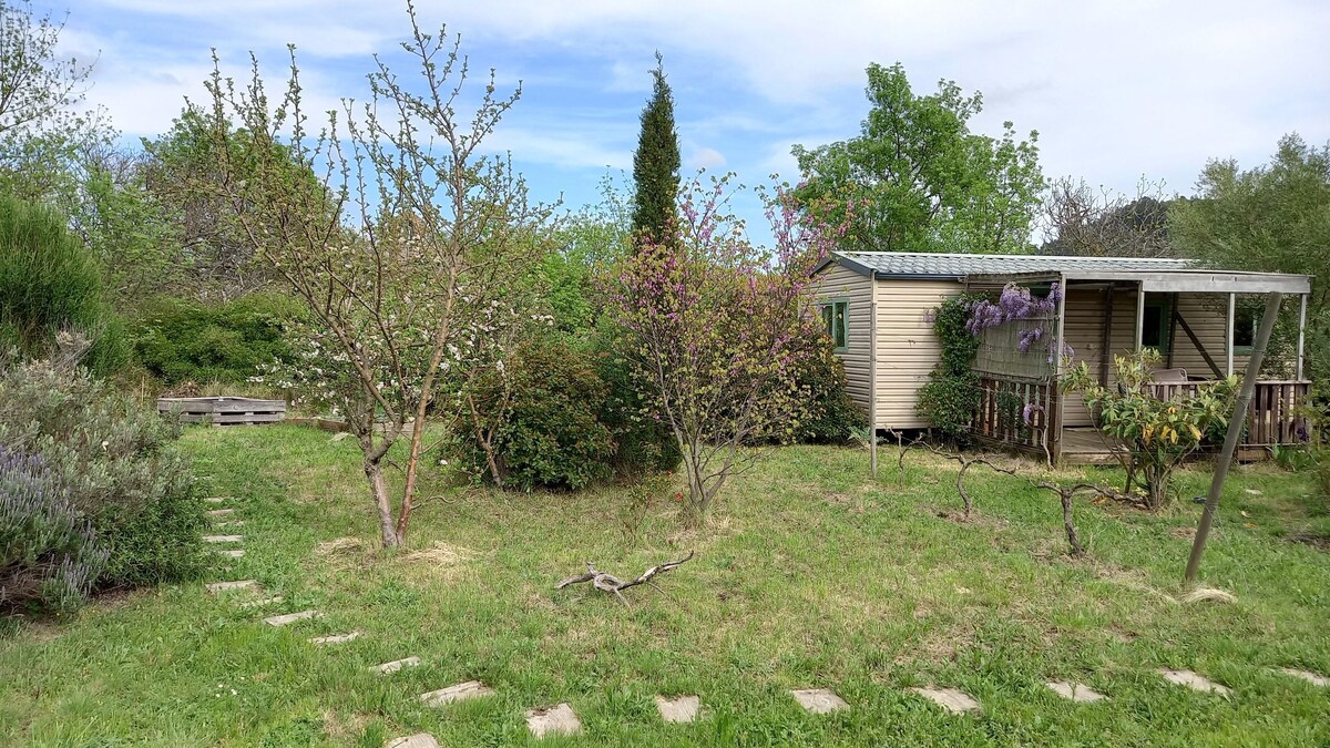 La cabane de mon jardin