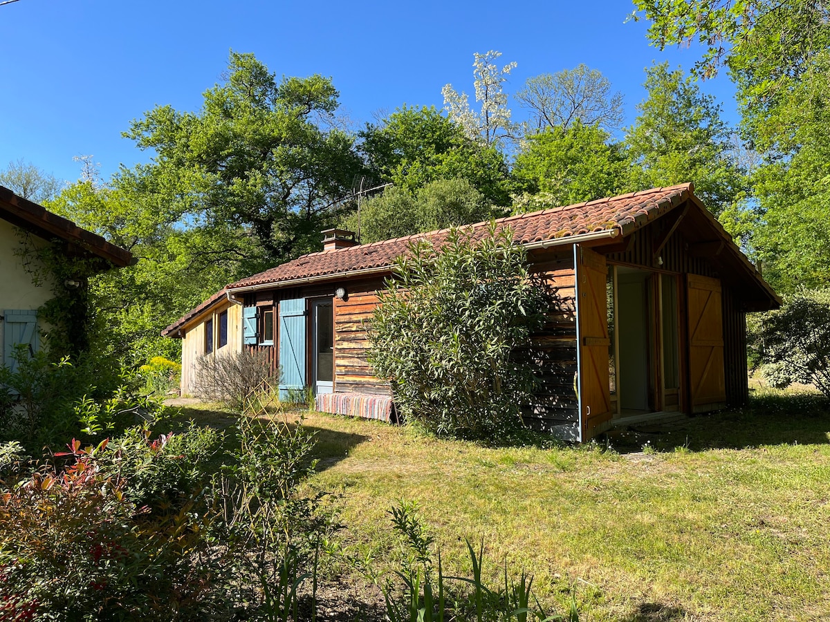 Gîte dans les bois