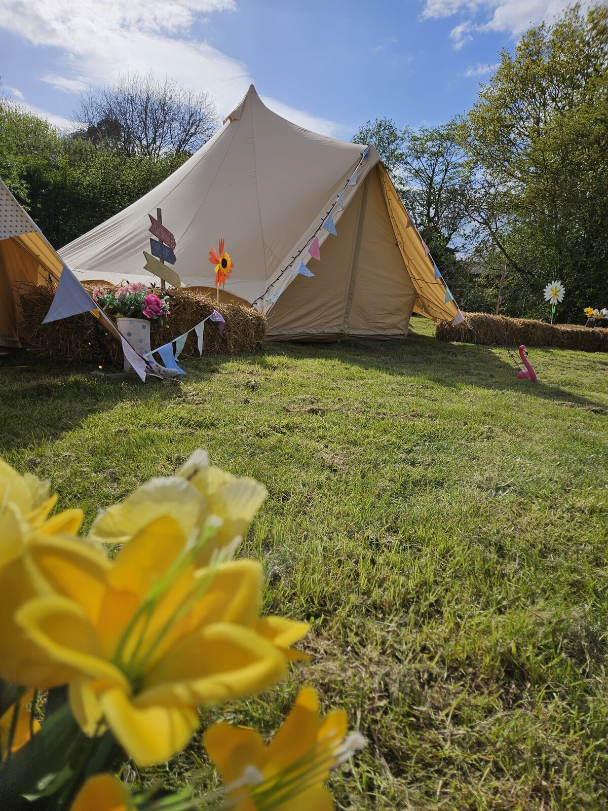 Glamping Village for Groups