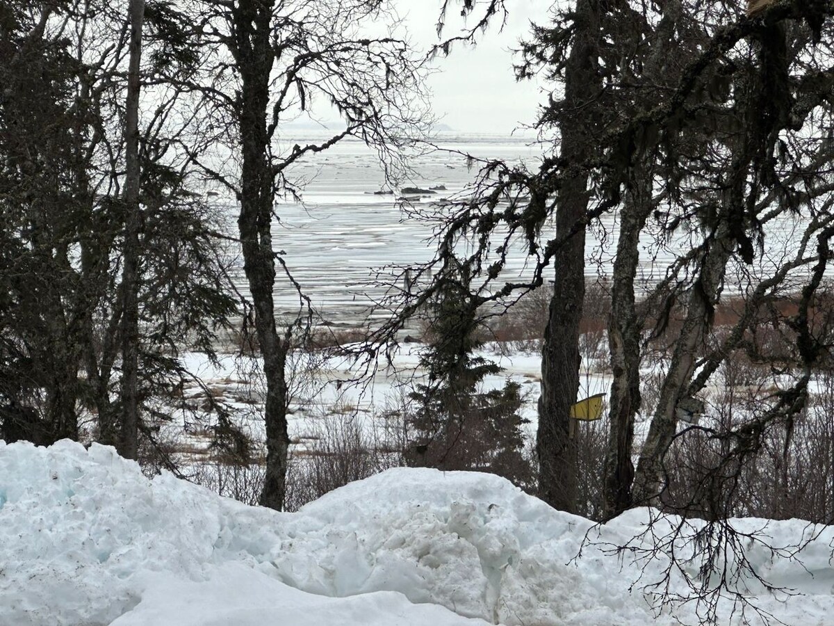 Cozy Bayside Studio Cabin