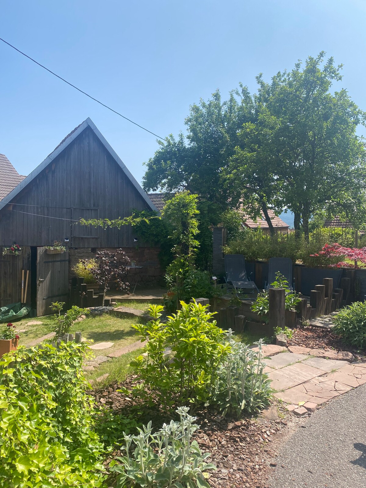 La maison aux quatres lavandes