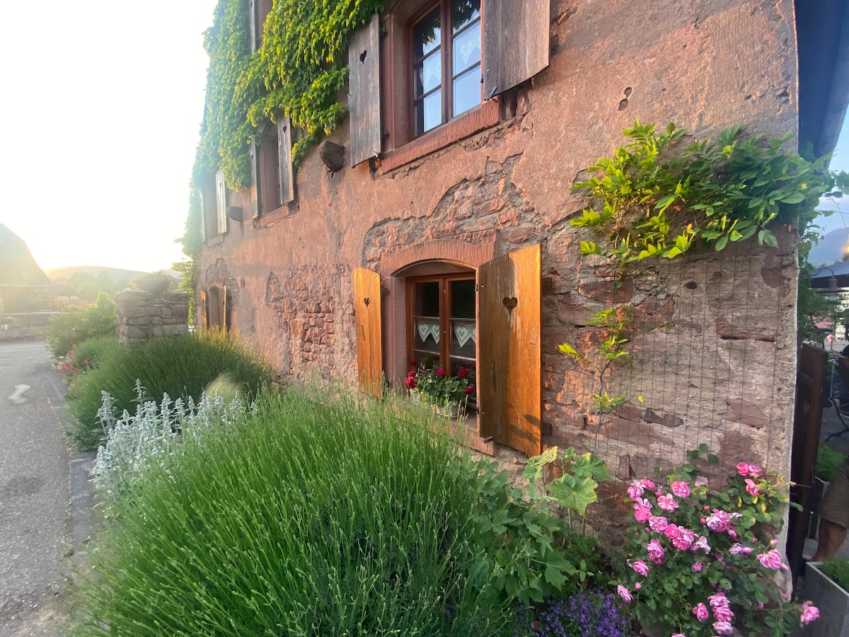 La maison aux quatres lavandes