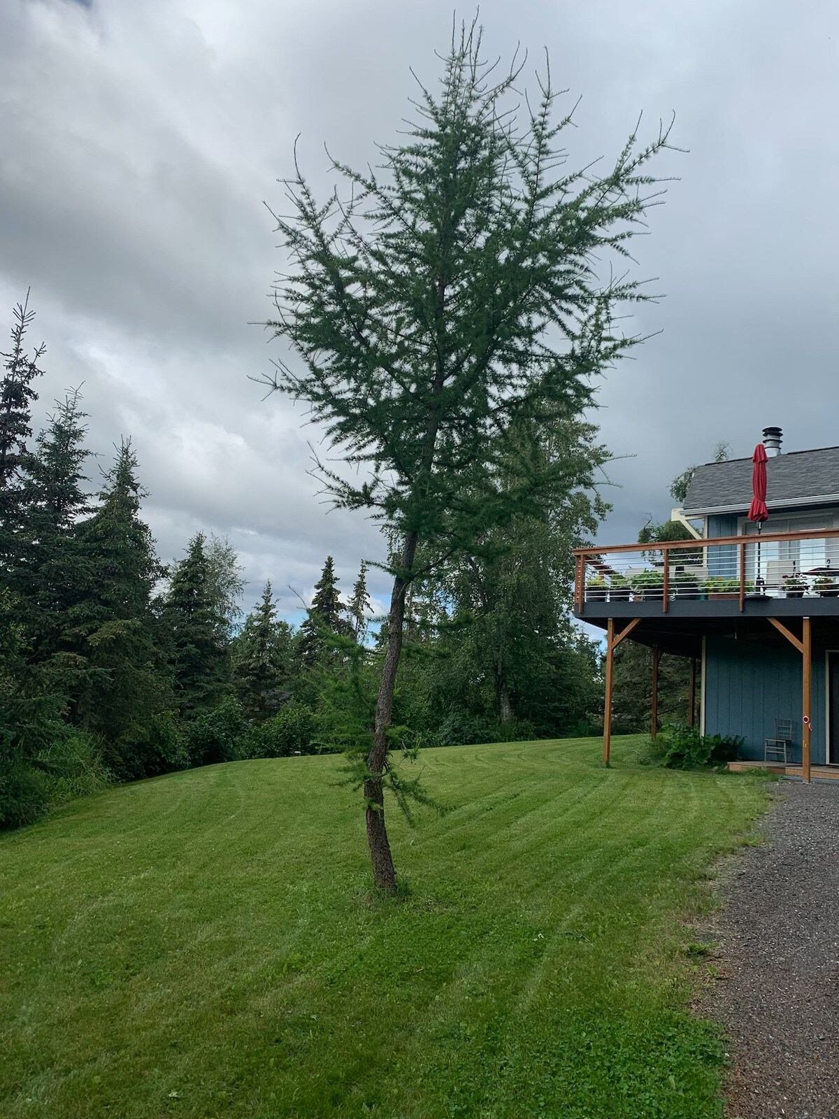 Chugach Chalet with Mt. Susitna View