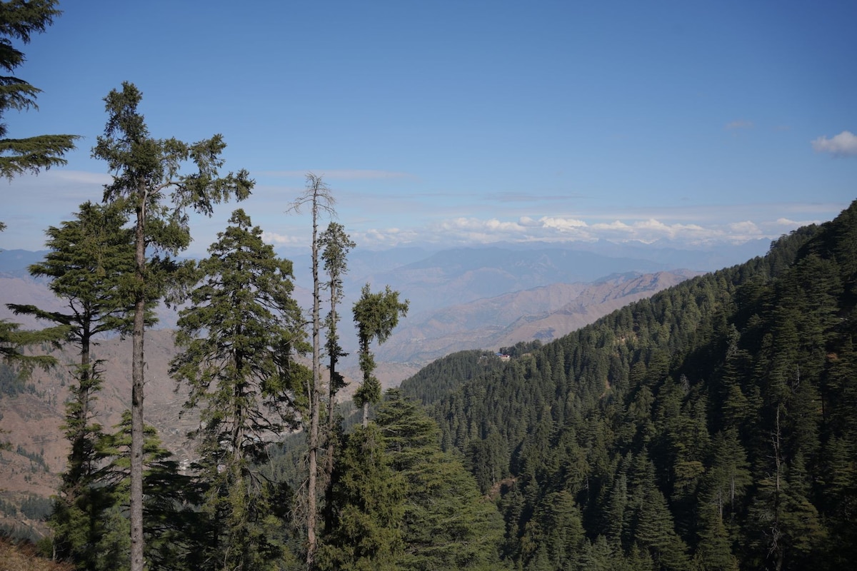 Chakrata Conifers - Families Stay and Group Stay