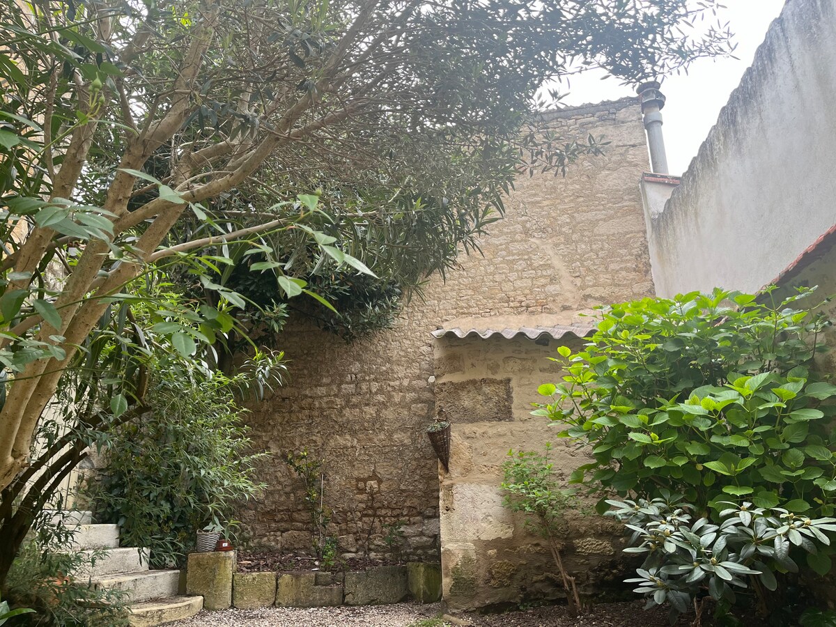 Magnifique maison de ville avec jardin