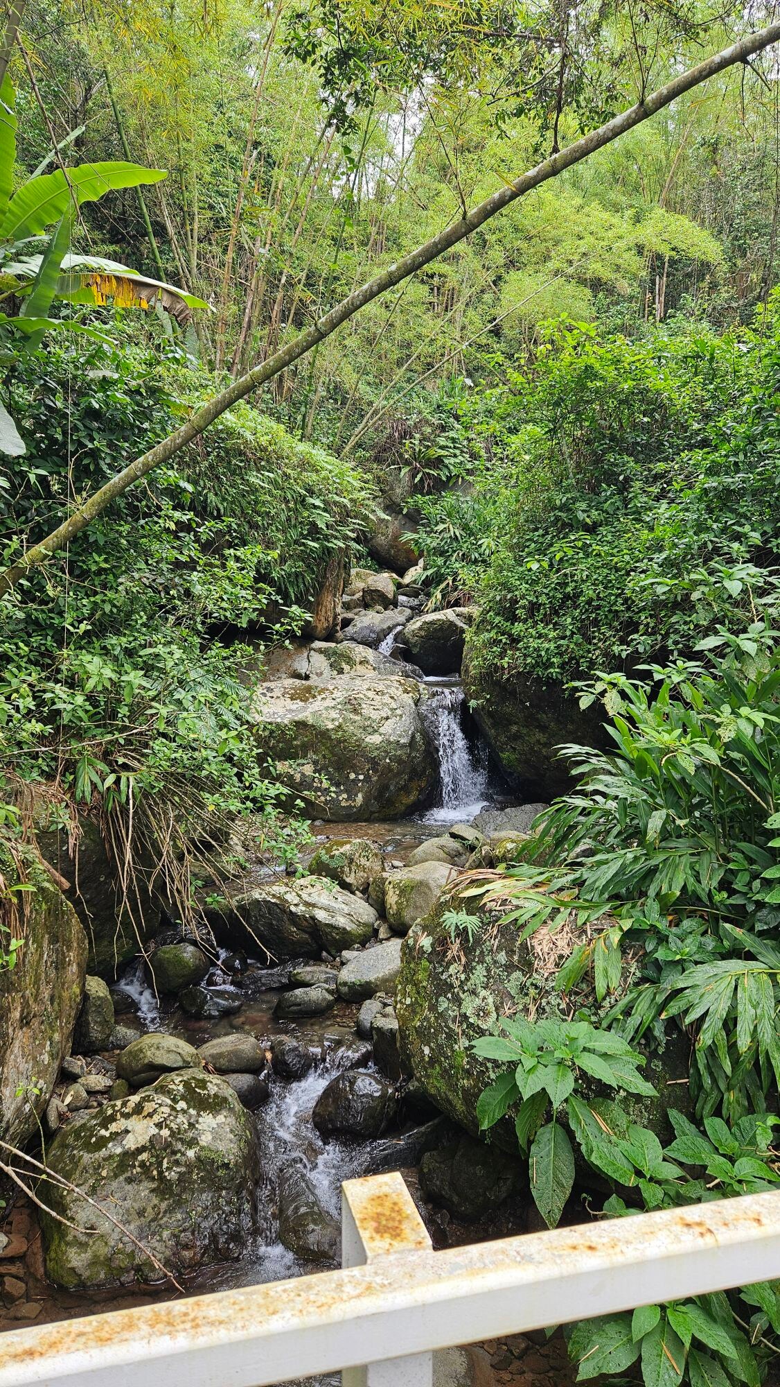 加勒比山之家（ Carribean Mountain Home ）