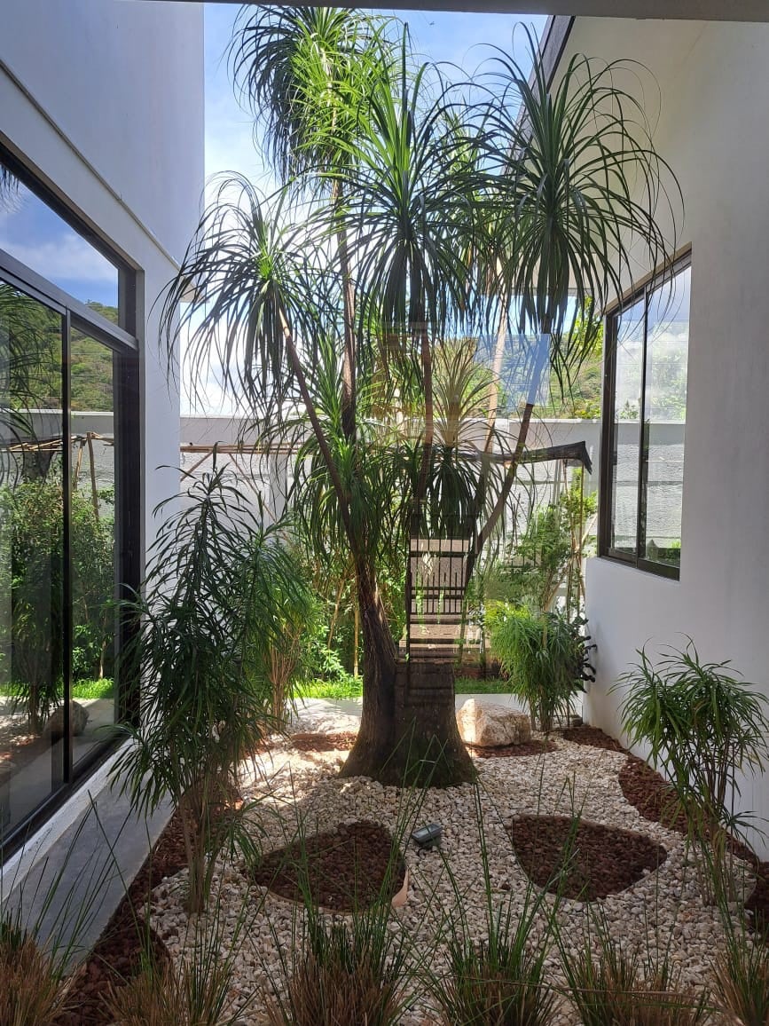 Habitación con vista a montaña.