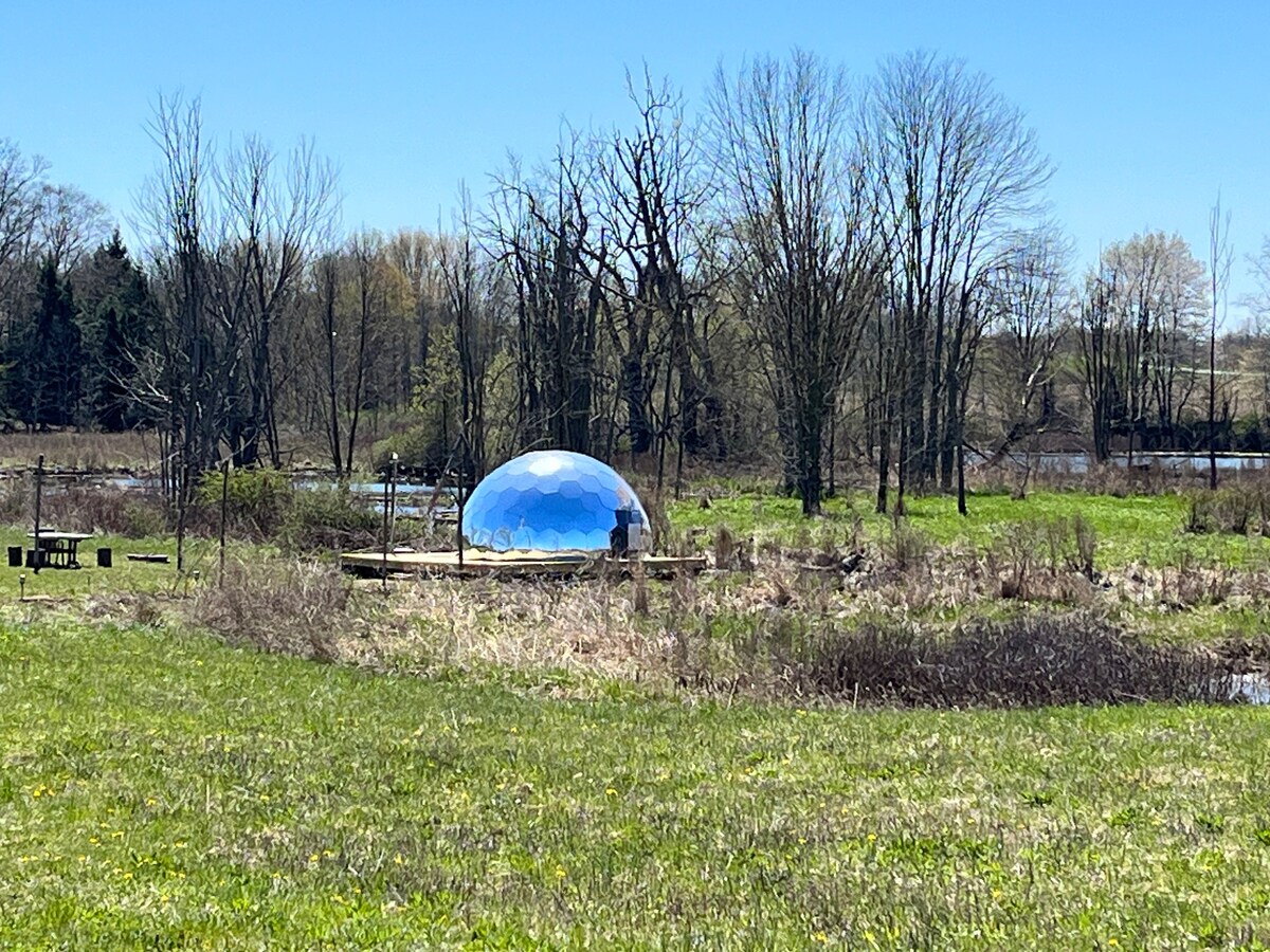 Dome in wildlife