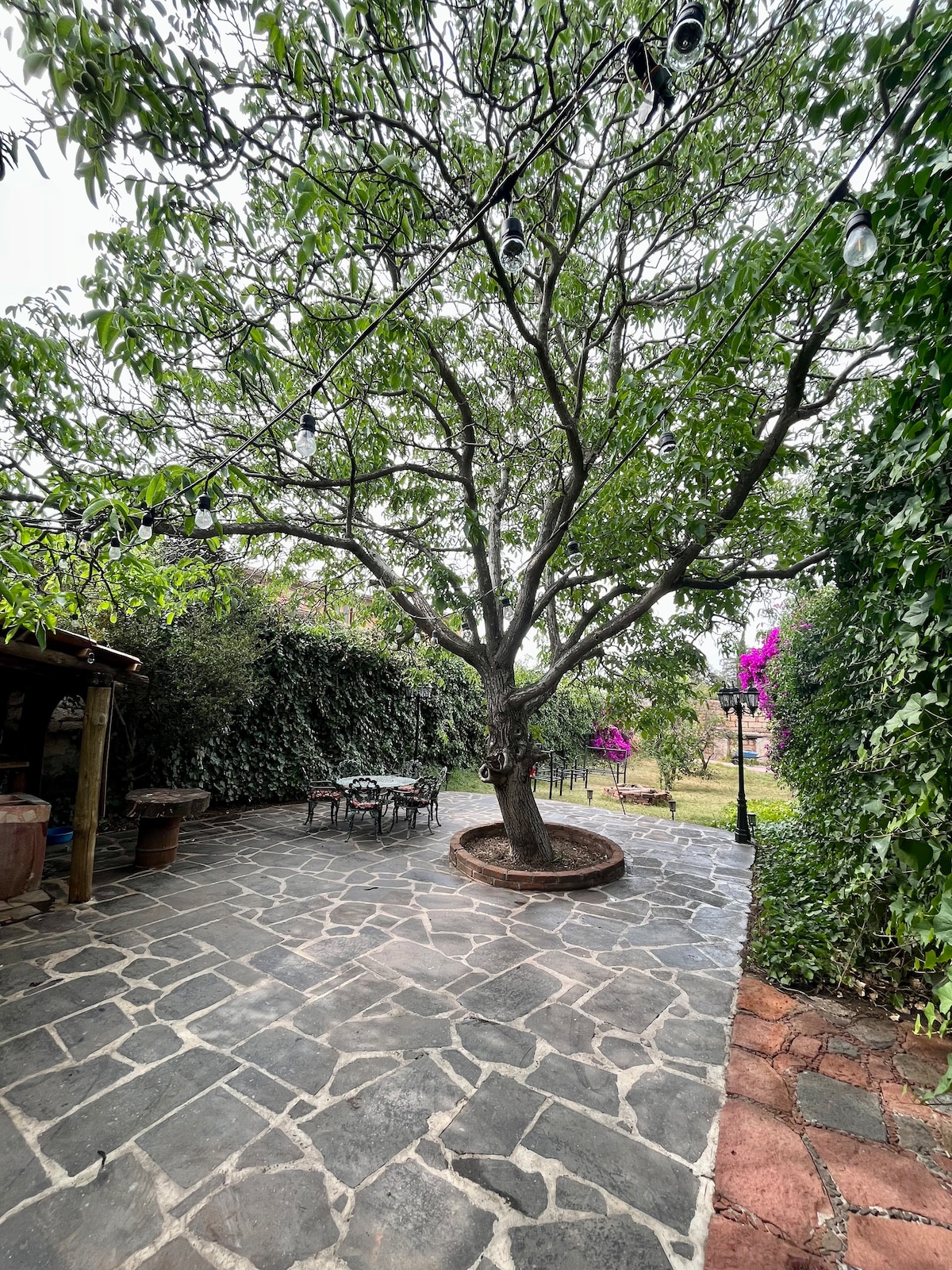 Amplia casa con jardín y fogata en Zona Centro