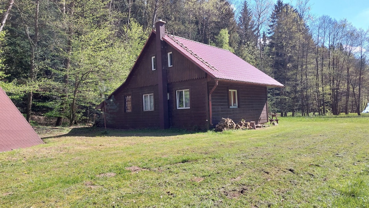 Remote cottage in valley near river, forest.