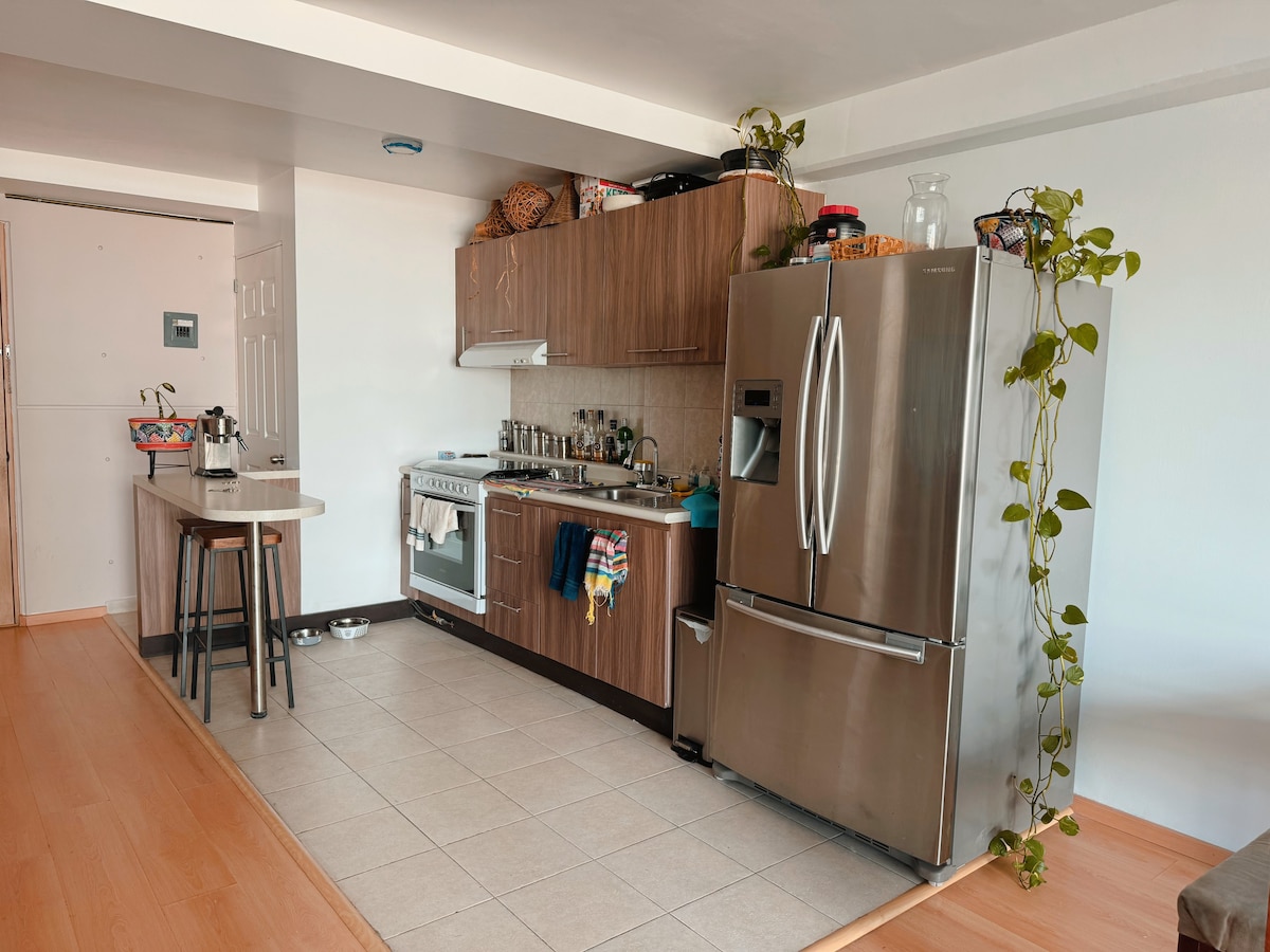 Beautiful 2Bed Apt in Roma Norte