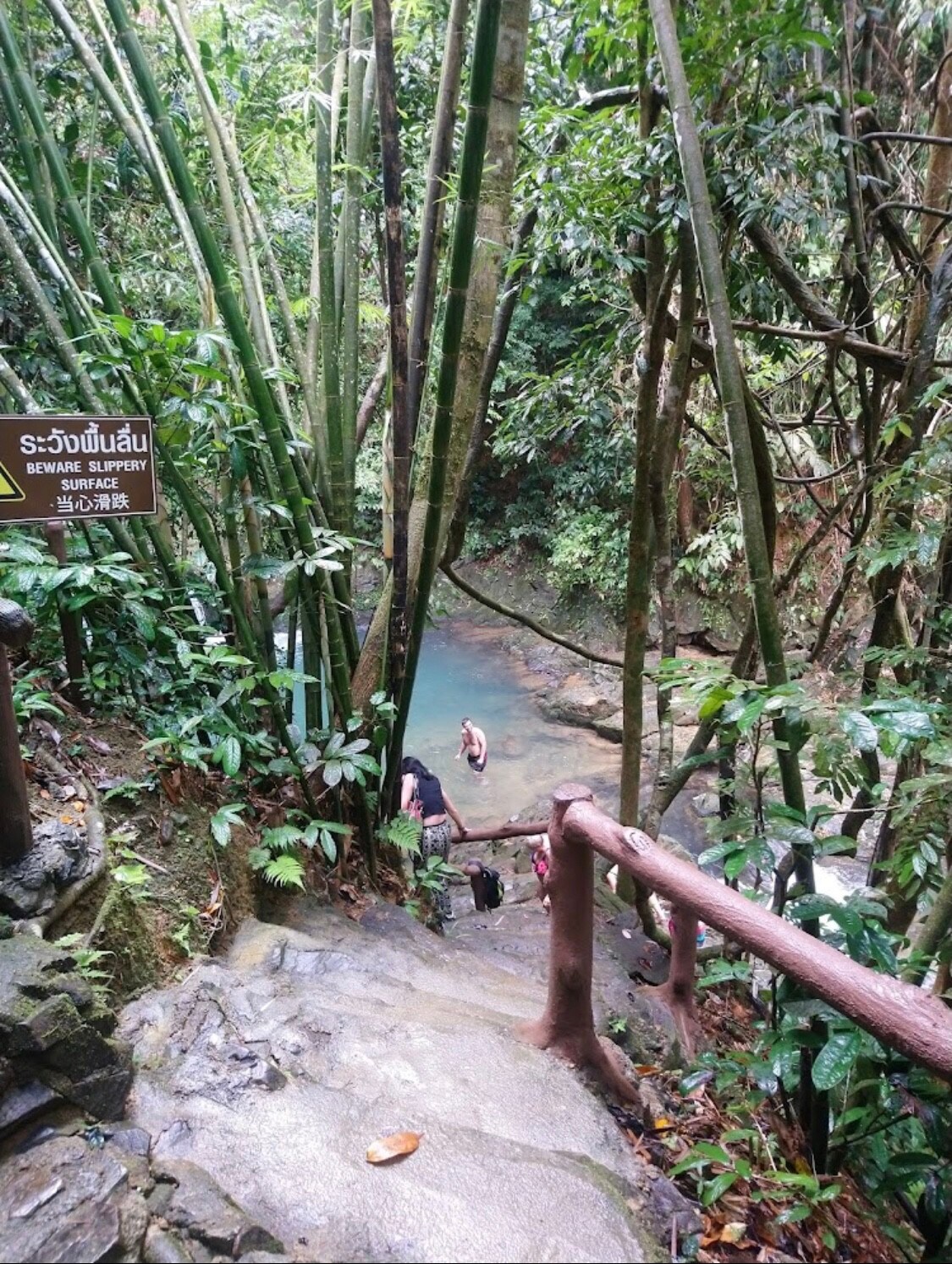 Jungle Stay near waterfall