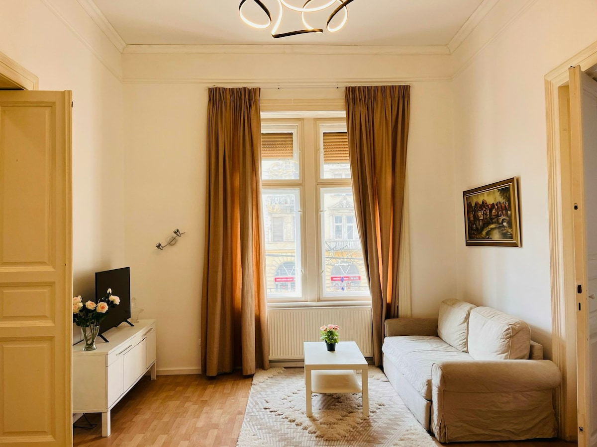位于布达佩斯的舒适公寓。