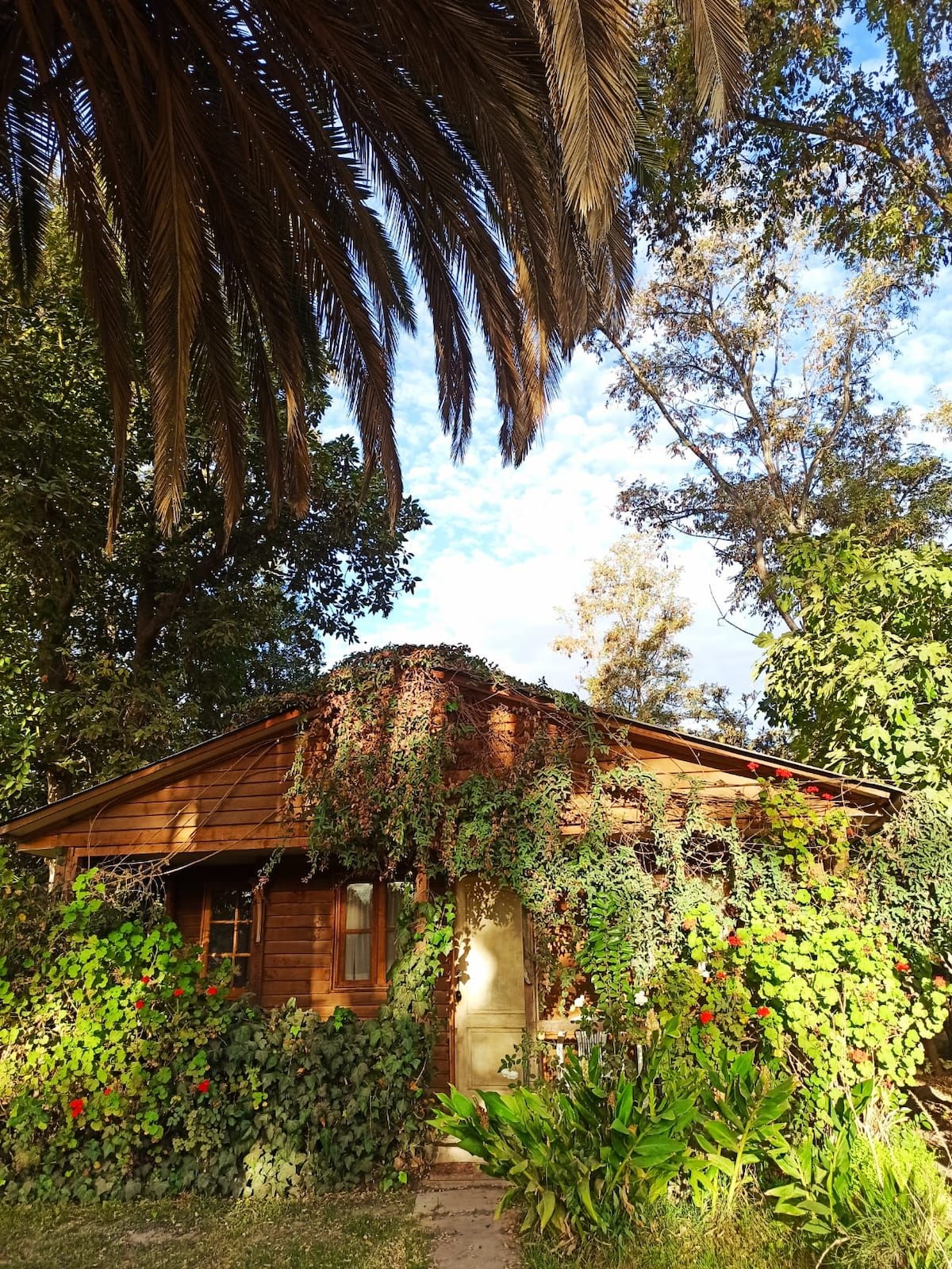 Cabaña En Calera de Tango