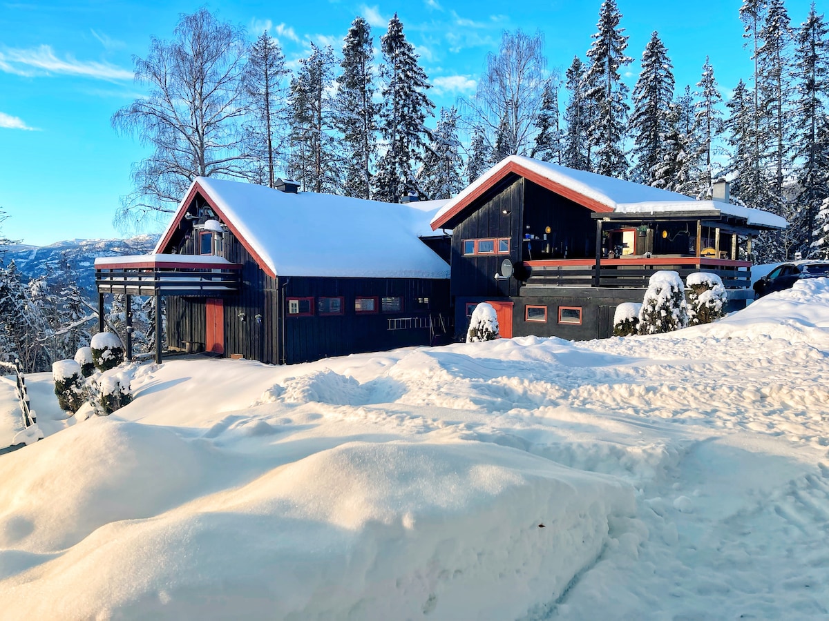 Skjermet Hytte på Norefjell