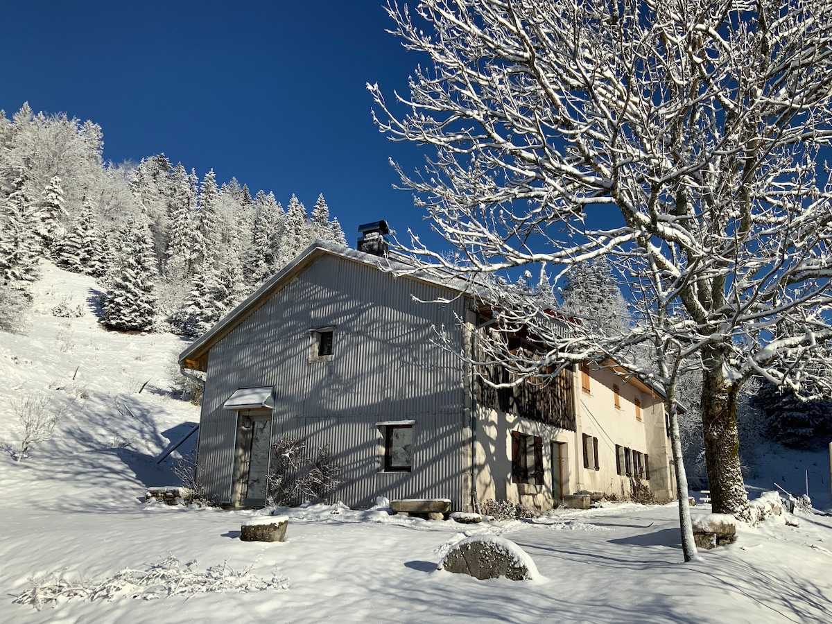 Découvrir le Haut-Jura