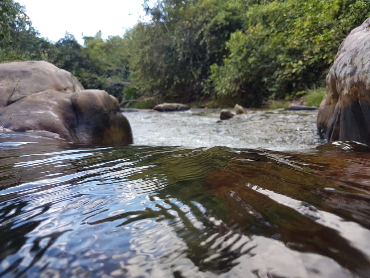 A Casa do Rio Mágico