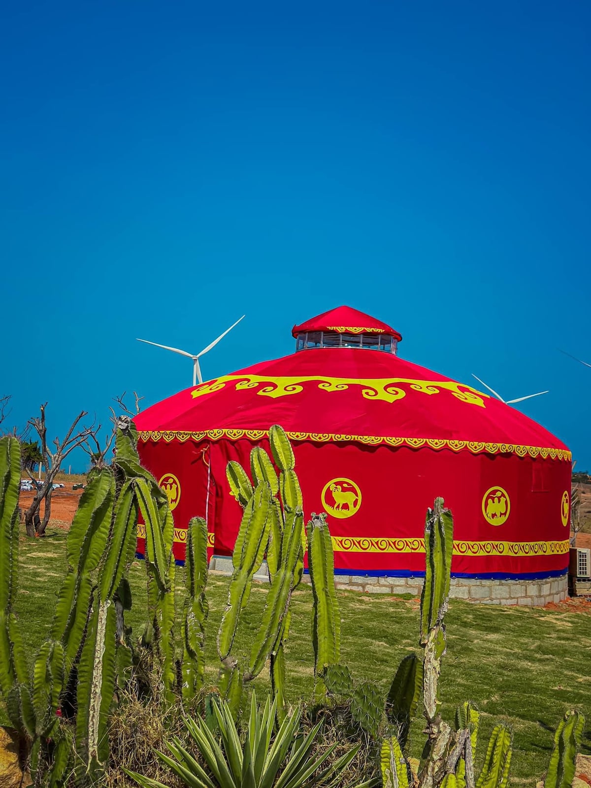 Bungalow Yurt Mông Cổ Glamping