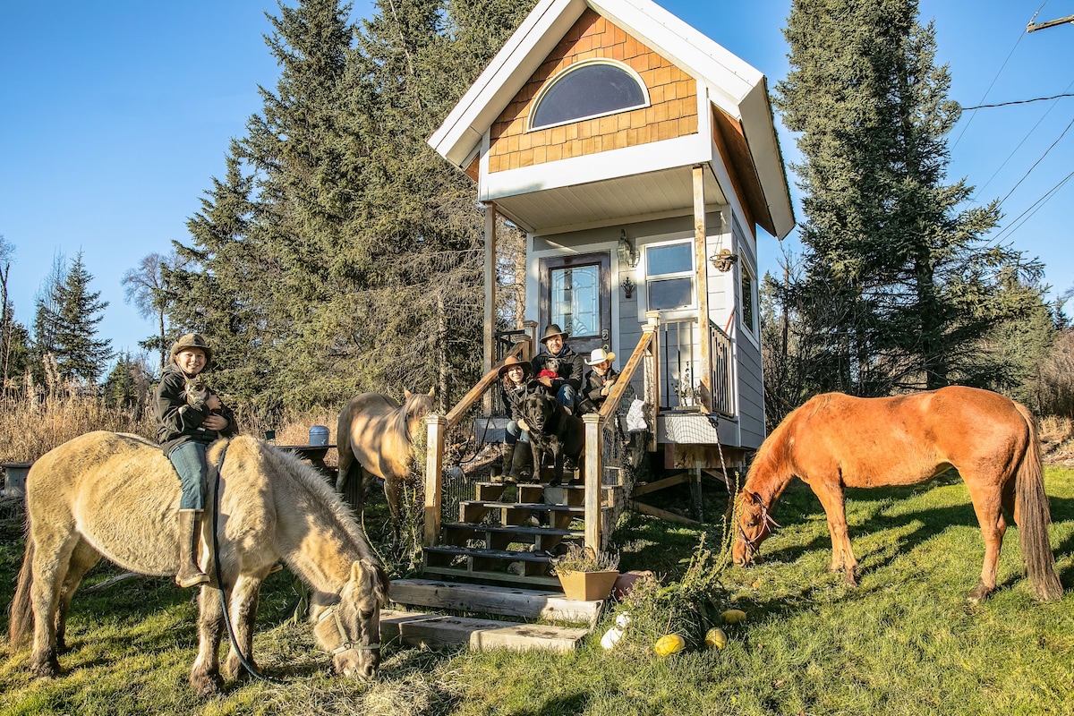 Repurposed playhouse w a view!