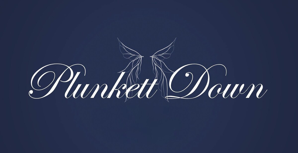 Plunkett Down King Suite