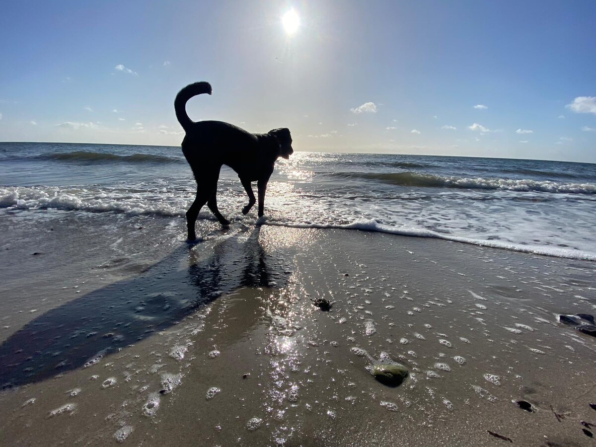 Wohnen an der Ostsee