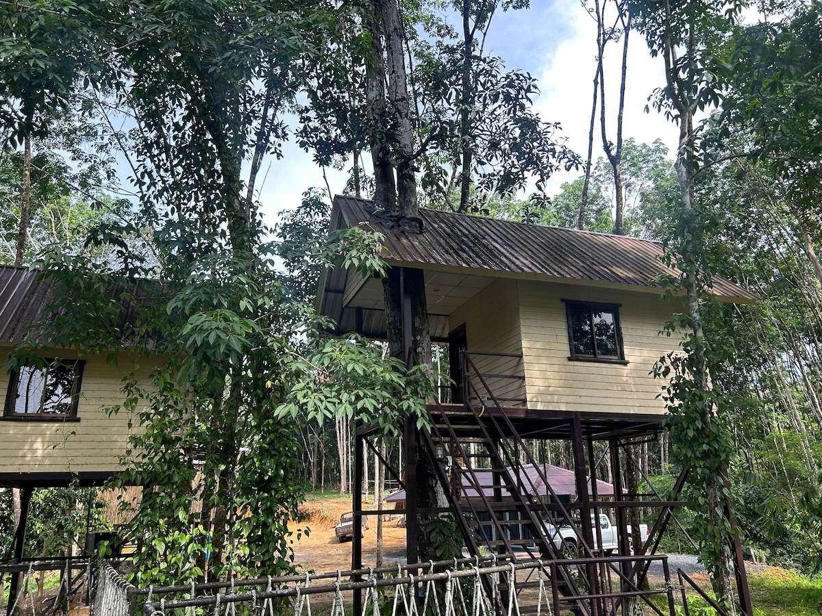 河畔考索克树屋（ Khaosok Tree House ）