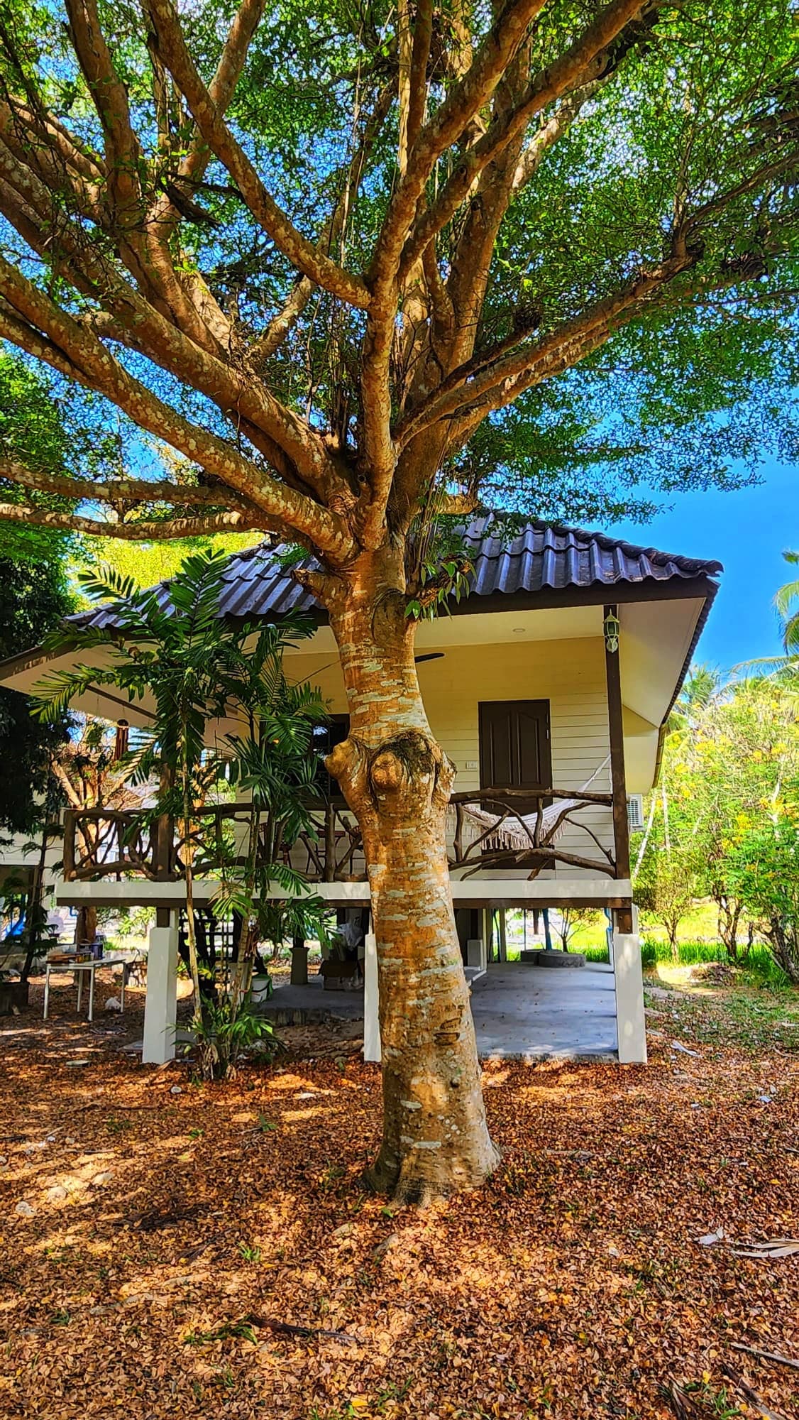 Luxury Private Villa with Garden