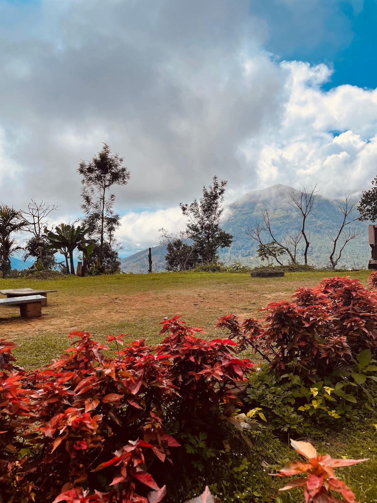 Room 3 -Misty Heights Homestay near Bandaje Falls