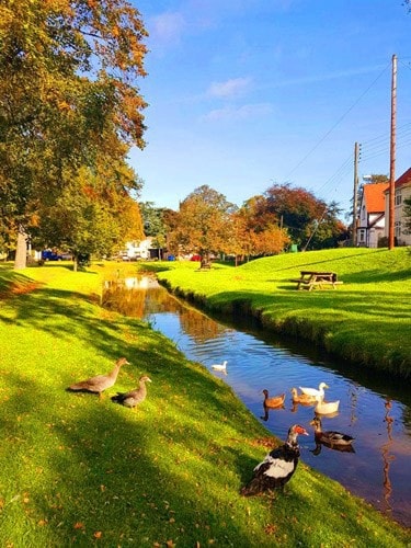 Tranquil Cottage on the Green