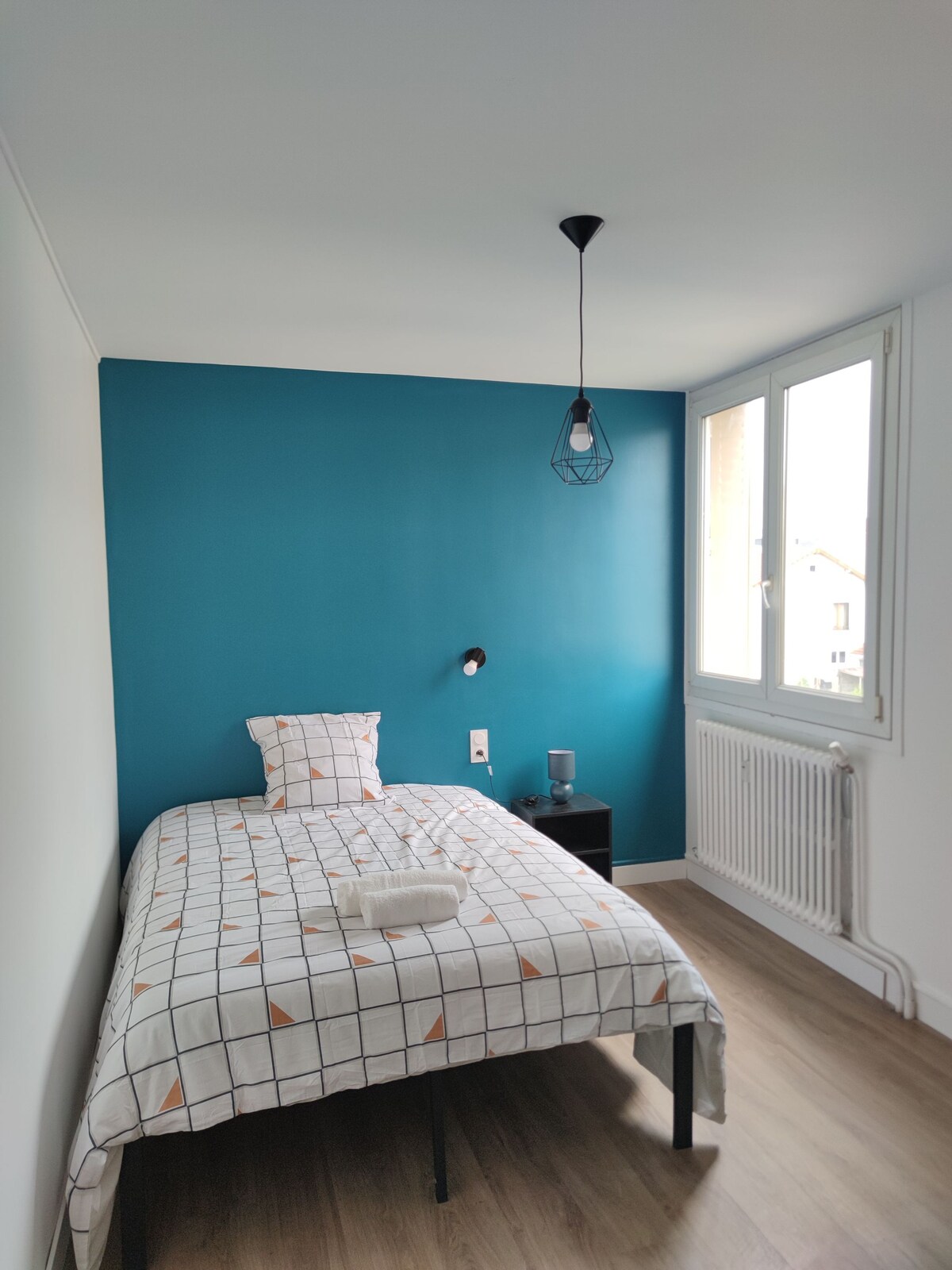 Chambre Chat - Clermont-Ferrand