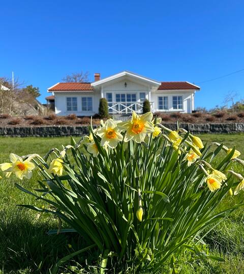 Summerdream Hvasser, Tjøme