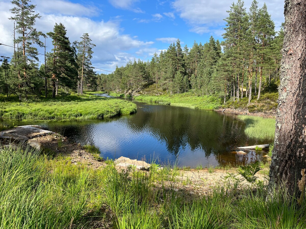 Sommerfjøsodden