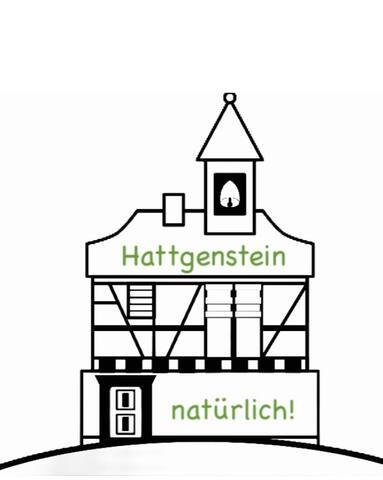Hattgenstein的民宿