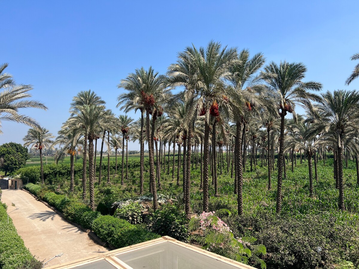 The Palms Gardens