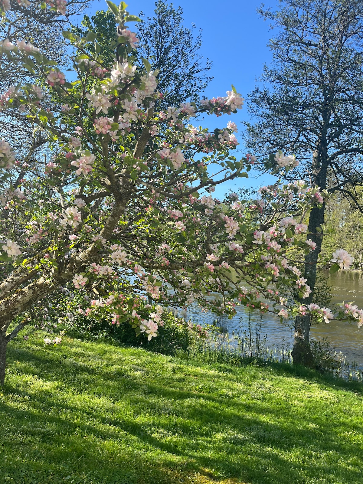 Friliggande villa på herrgård