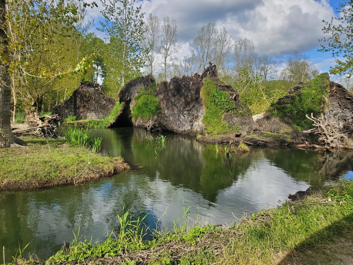 Gîte la Libellule (barque et canoë)