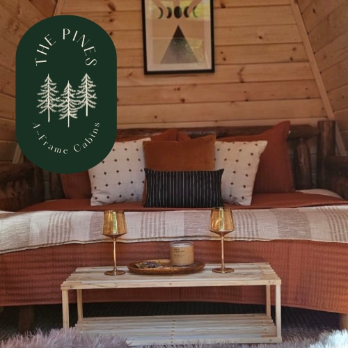 In The Pines - A Frame Cabin # 2