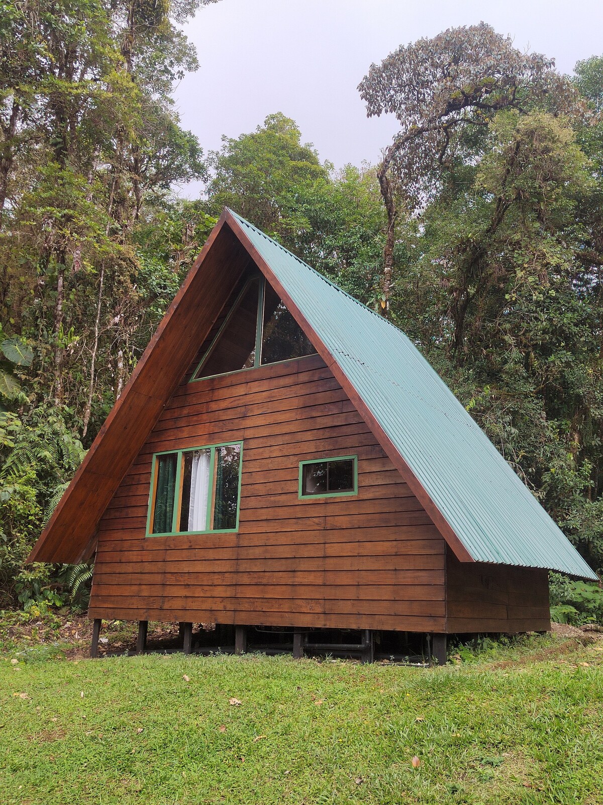 Cozy cabin in CR cloud forest