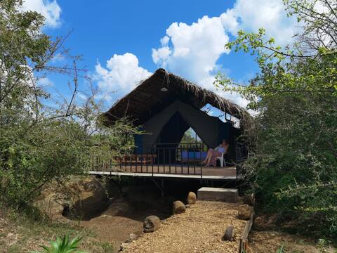 Glamping in the Wild