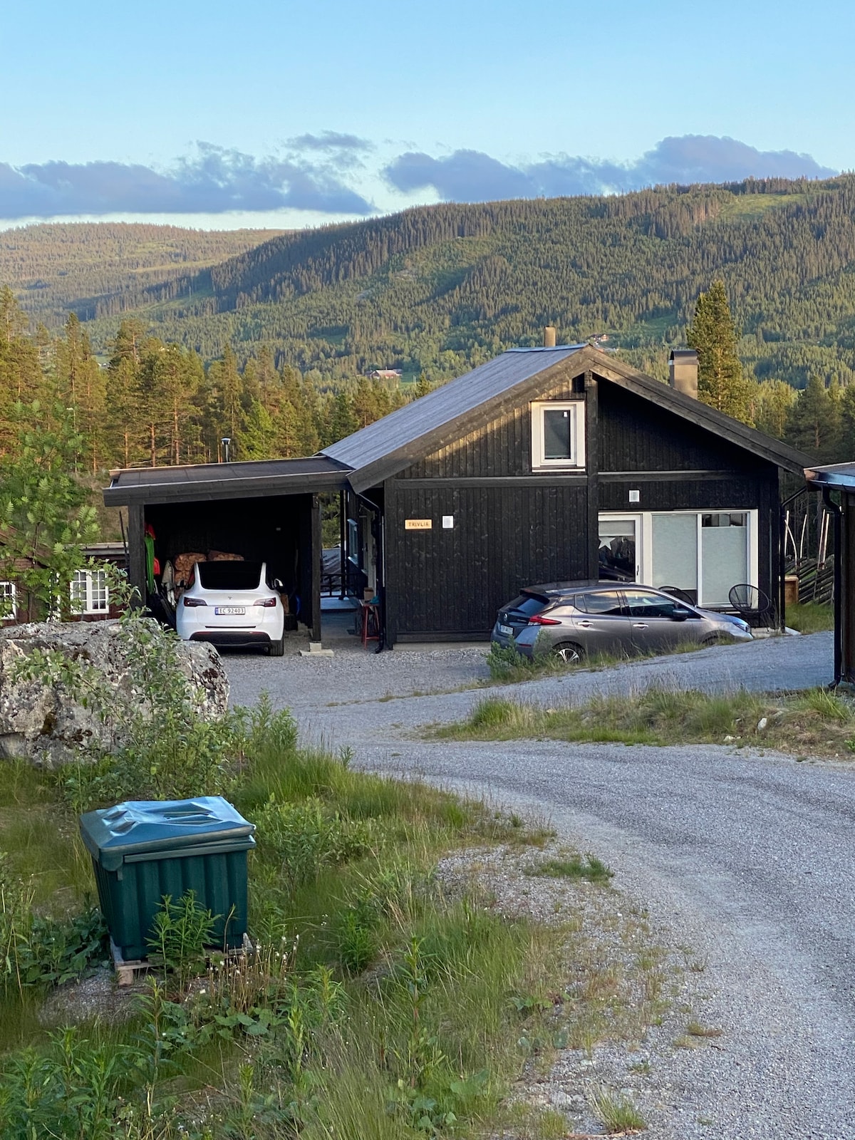 Hjemmekoselig og fin hytte på Hemsedal Golf Alpin