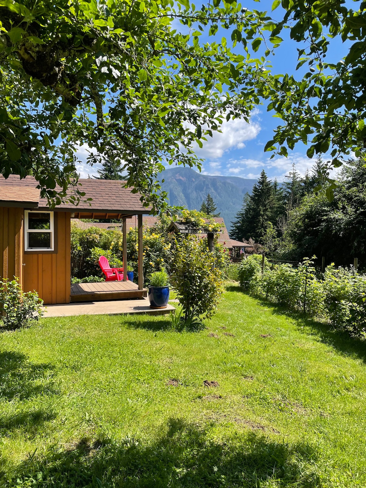 Tiny Country Cabin