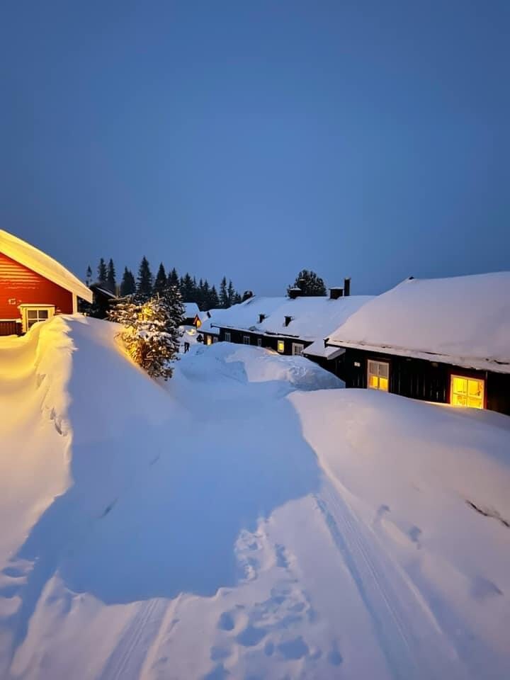 滑雪进出Norefjell舒适的小木屋！