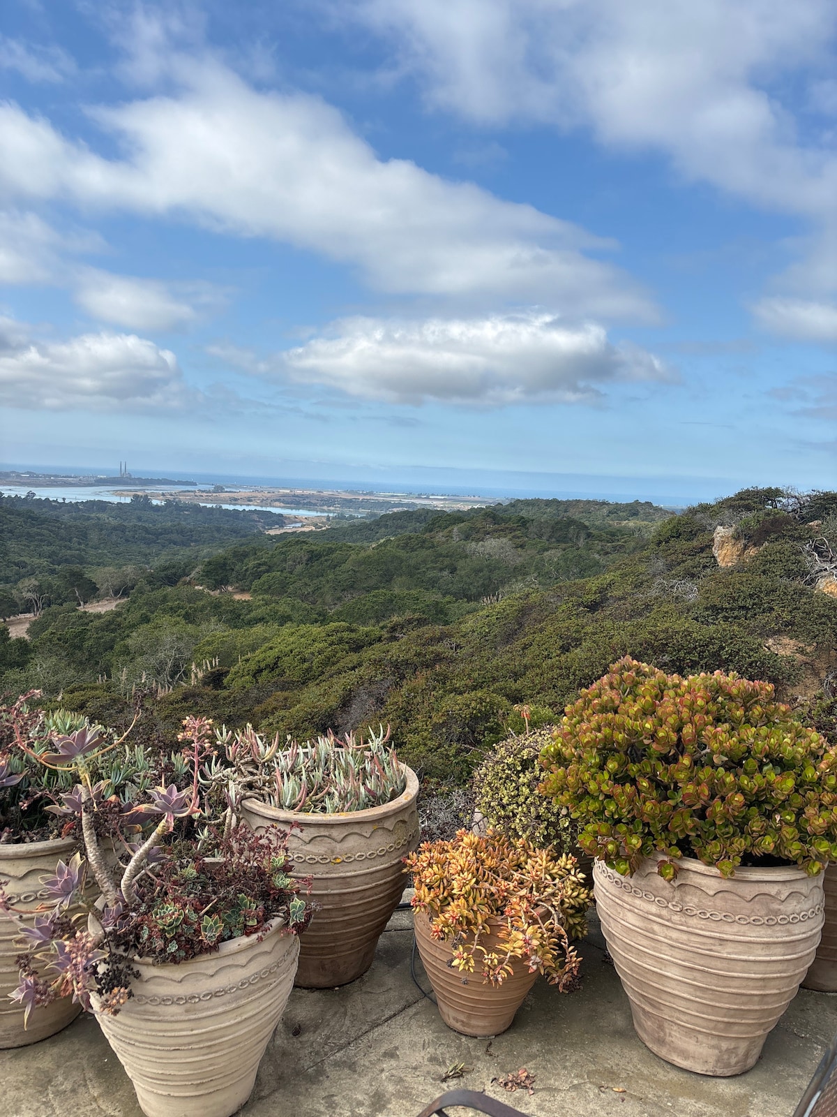 Best Views of Monterey Bay in Beautiful Royal Oaks
