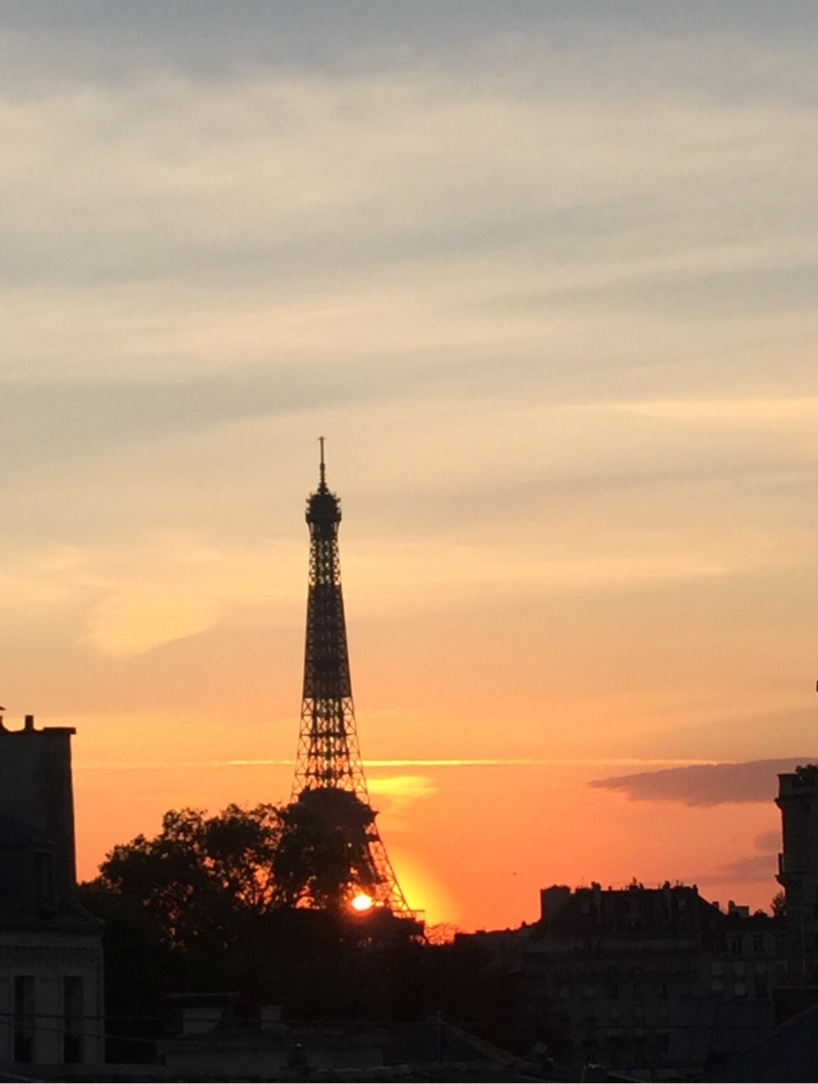 巴黎市中心景观埃菲尔铁塔（ EIFFEL Tower ）典型的顶棚