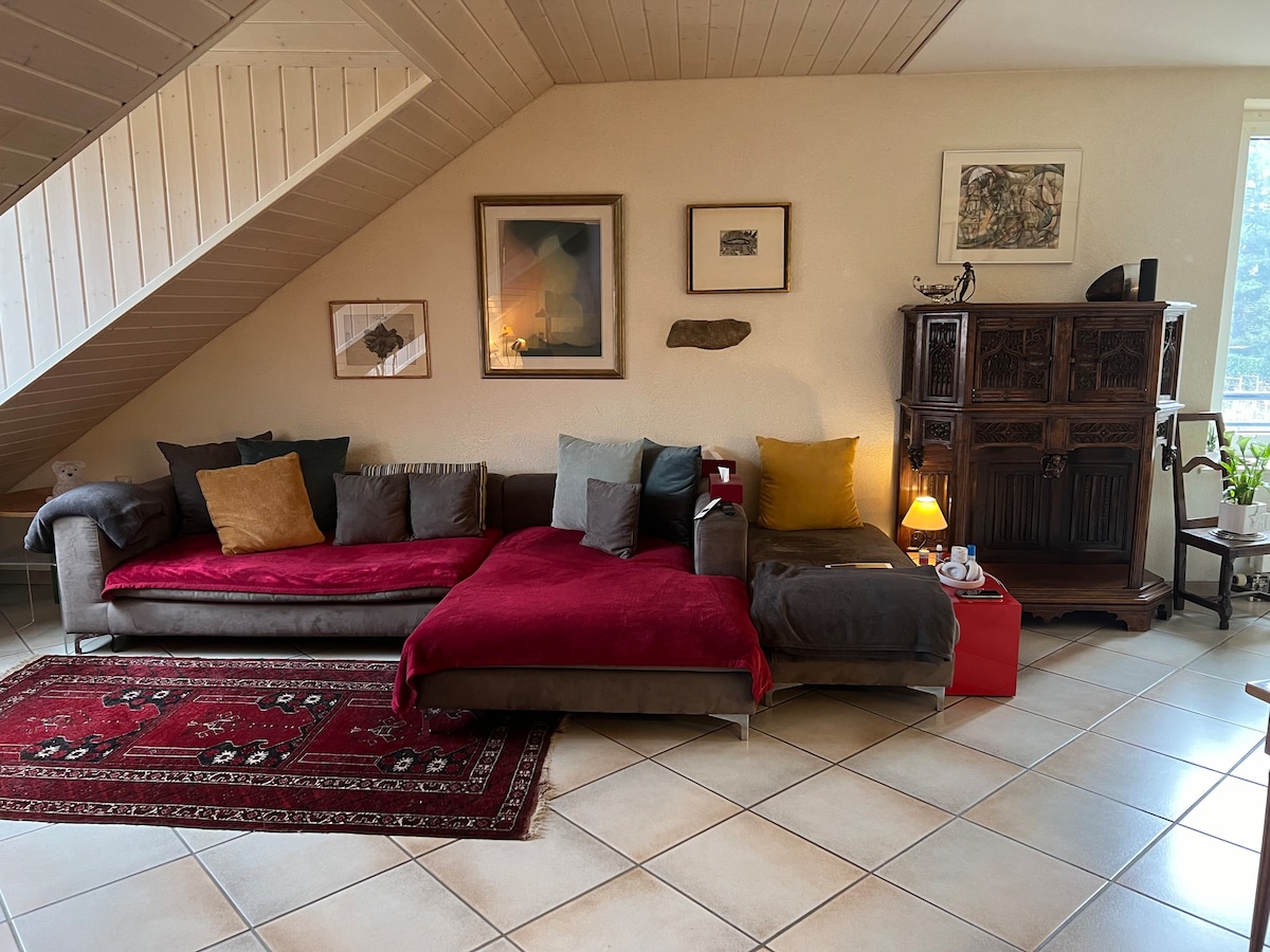 优雅舒适的复式公寓， 150平方米，靠近日内瓦湖