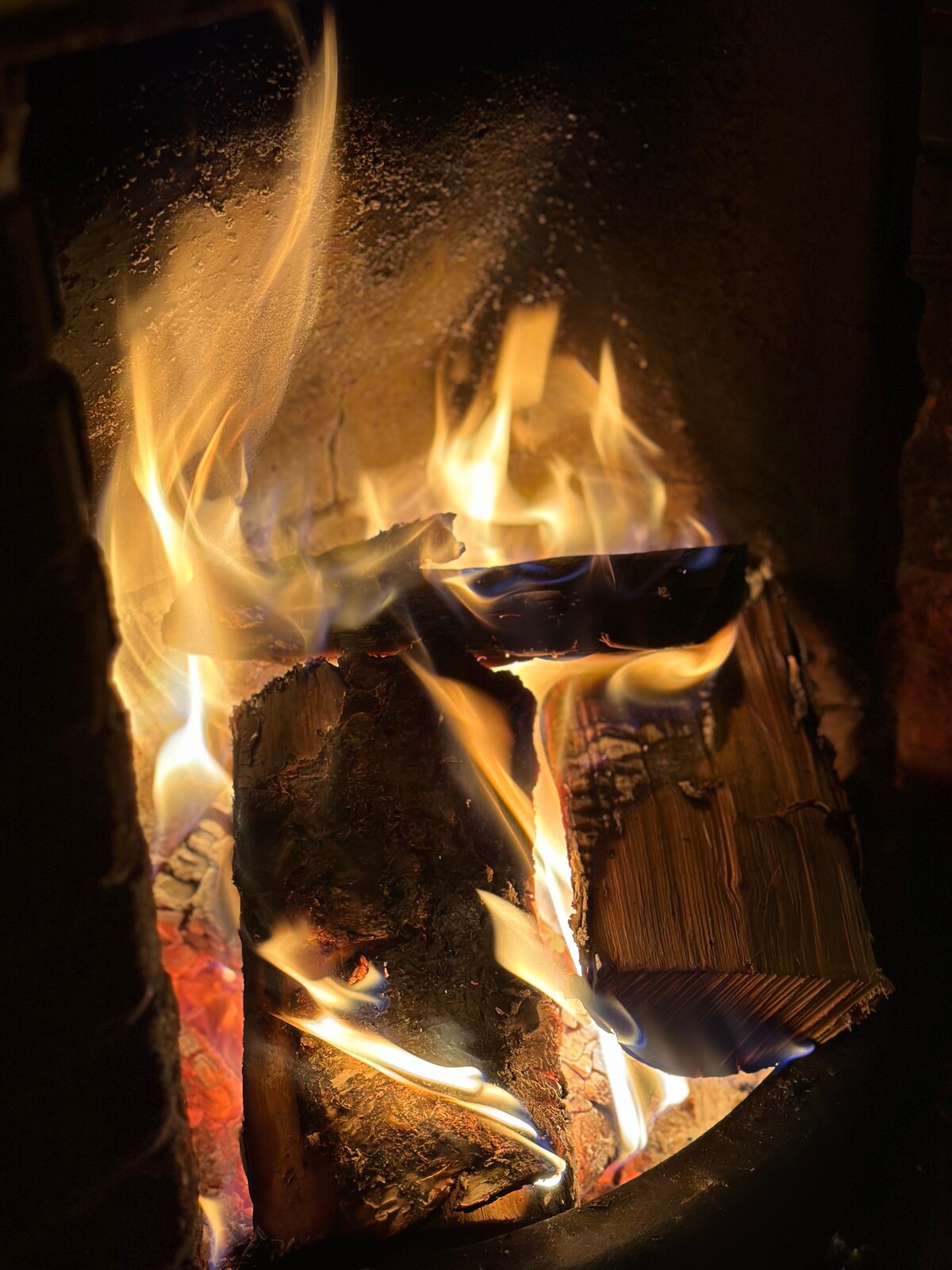 与朋友家人分享的完美空间