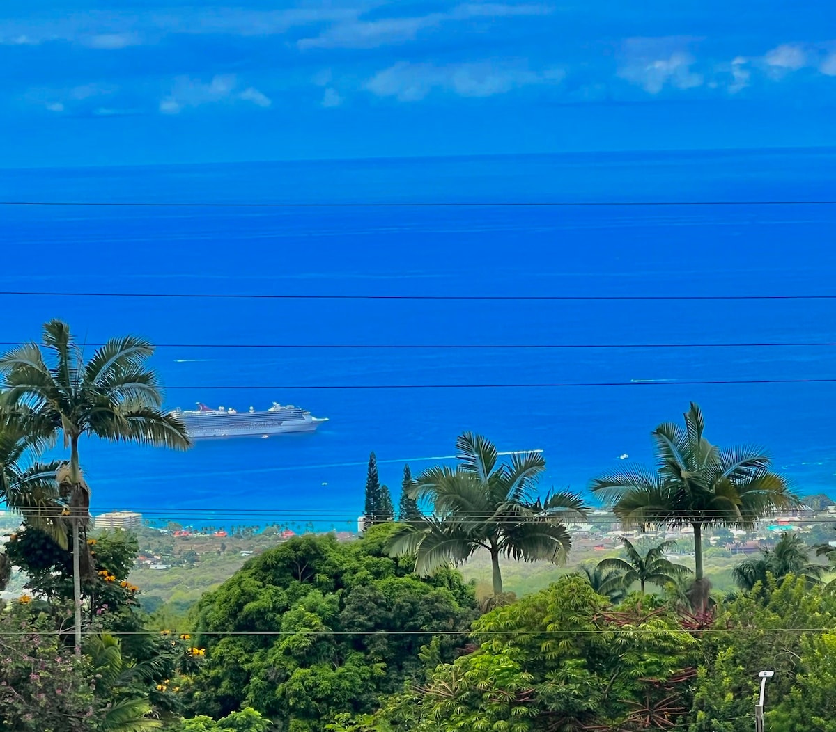 The Lookout Ohana-King